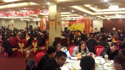天罡公司2014年新春聯歡會在北京國開會議中心舉行 天罡公司2014年新春聯歡會在北京國開會議中心舉行